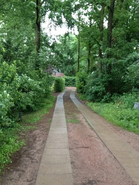 Een laan tussen de bomen, met twee stroken betonplaten.